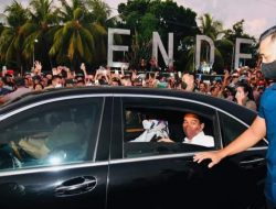 Hadiri Upacara Hari Lahir Pancasila, Ini Agenda Presiden Jokowi di Ende