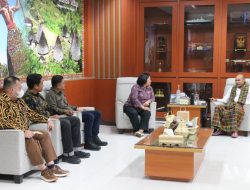 Kasus TPPO Menurun, Kekerasan Seksual Meningkat di NTT