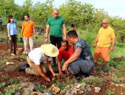 George Hadjoh Pimpin ASN Tanam Ribuan Kelor di Naimata