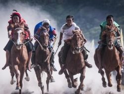 Pemprov NTT Akan Gelar Lomba Pacuan Kuda di Wini, TTU