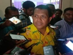 Laka Lena: Pentingnya Pola IMD bagi Bayi untuk Cegah Stunting