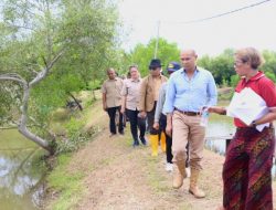 Gubernur Viktor Laiskodat Tinjau Instalasi Tambak Ikan Oesapa 