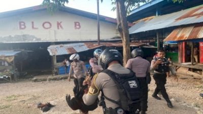 Digrebek Polisi, Pelaku Judi Sabung Ayam di Pasar Oebobo Kupang Lari Berhamburan
