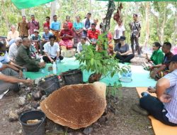 Gubernur Viktor Usul Ritual Panen Madu di Fatuleu Didesain Jadi Festival