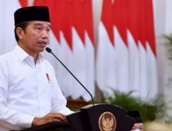 Presiden Jokowi Resmi Luncurkan Logo IKN