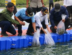 Penjabat Gubernur NTT Tebar Ribuan Bibit Ikan Nila di Bendungan Raknamo