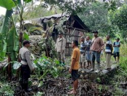 Tragis! Gadis 15 Tahun di Kupang Tewas Tertimpa Pohon Kelapa