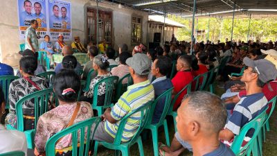 Melki Laka Lena Siap Wujudkan Pabrik Porang di Manggarai Timur