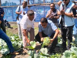 Zainal Arifin, Praktisi Pertanian Terpadu di Kupang Sukses Karena Dukungan Pemerintah Pusat