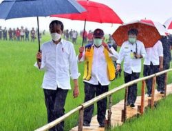 Ansy Lema Salah Kaprah Sebut Jokowi Belum Bangun Sektor Ekonomi Primer di NTT