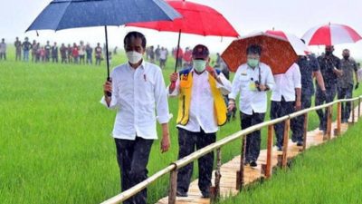 Ansy Lema Salah Kaprah Sebut Jokowi Belum Bangun Sektor Ekonomi Primer di NTT