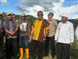 Gubernur Melki Apresiasi Potensi Pertanian Mautenda, Sebut Ende Bisa Jadi Lumbung Pangan NTT