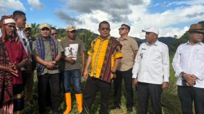 Gubernur Melki Apresiasi Potensi Pertanian Mautenda, Sebut Ende Bisa Jadi Lumbung Pangan NTT