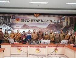 PLTAL Larantuka Siap Pasok 100 Megawatt Listrik, Target Selesai Tahun 2028