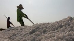 Warga Belum Terima Ganti Rugi Lahan, Cipayung Plus Tolak Peresmian Tambak Garam di Rote
