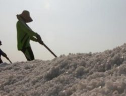 Warga Belum Terima Ganti Rugi Lahan, Cipayung Plus Tolak Peresmian Tambak Garam di Rote