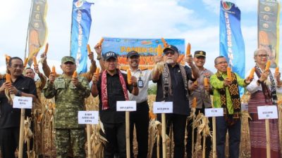 Ditjenpas NTT dan PT SJM Sulap Lahan Tidur Jadi Kebun Produktif