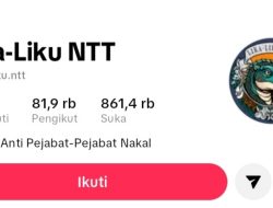 Melki Dukung Polisi Usut Tuntas Pengelola Akun TikTok Lika-Liku NTT