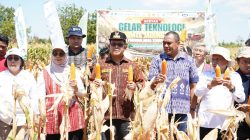 Melki Ajak Perbankan hingga Dunia Usaha Perkuat Agribisnis Jagung NTT