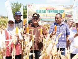 Melki Ajak Perbankan hingga Dunia Usaha Perkuat Agribisnis Jagung NTT