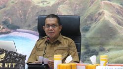 Gubernur Melki Gercep Tangani Gempa Flores, BNPB Besok Turun ke Lokasi